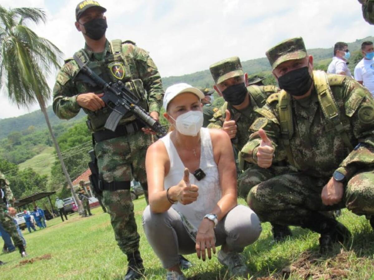 Avanza campaña de reforestación en el Tolima