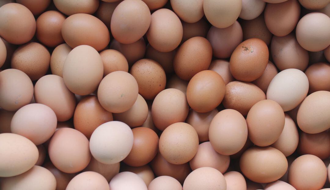 13 de octubre dìa mundial del huevo