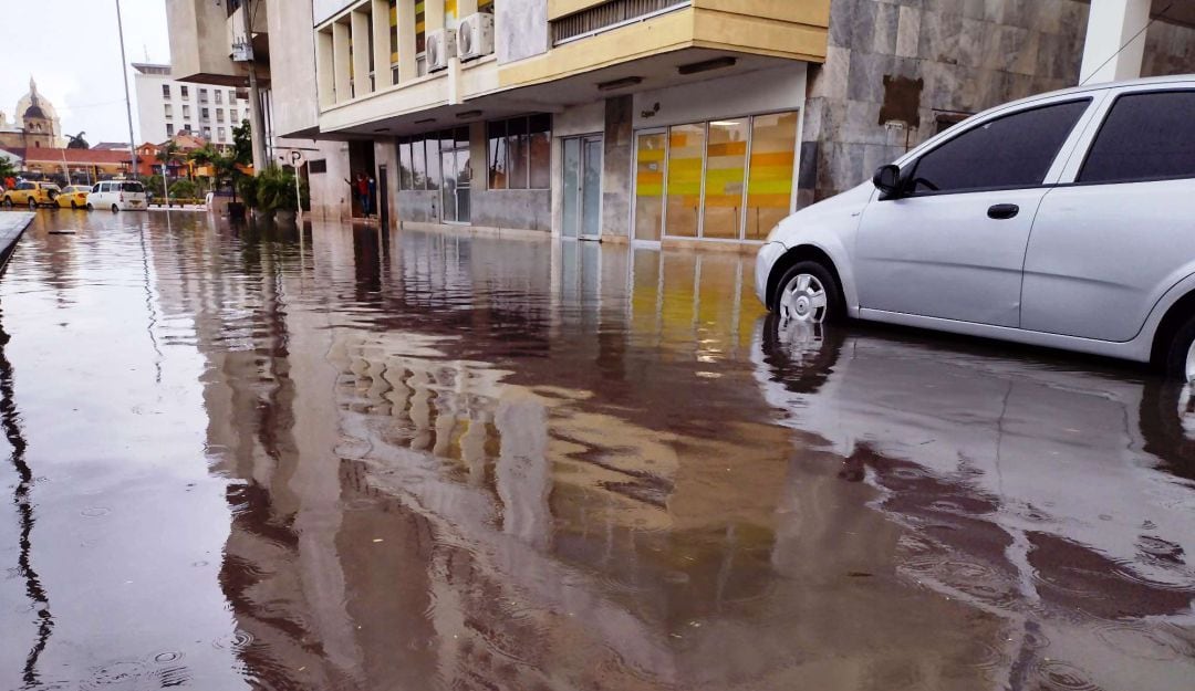 El reconocimiento fue hecho por CDP Cities y ICLEI - Gobiernos Locales por la Sustentabilidad