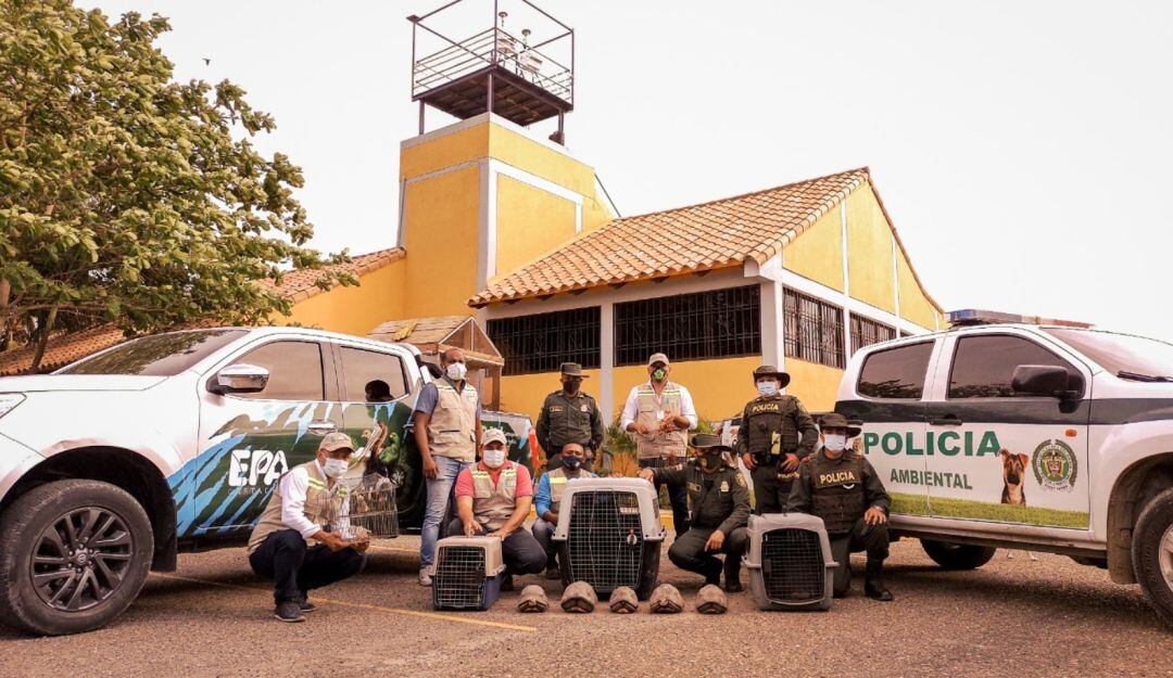 Esta campaña es una invitación para que entreguen de manera voluntaria los animales silvestres que tengan en cautiverio 