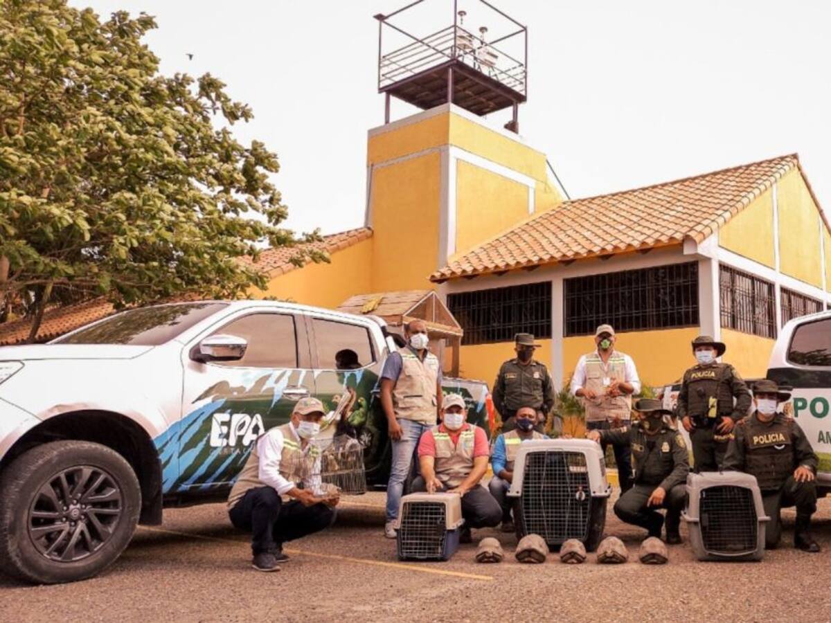 Operación Libertad: ¡Los queremos libres!