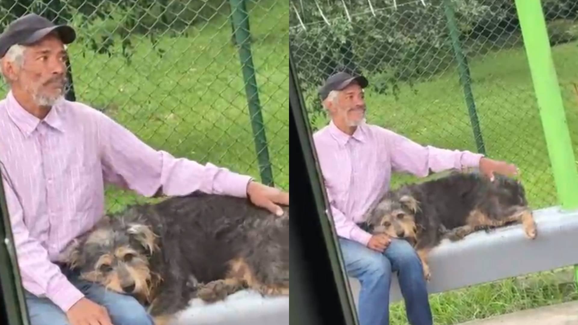 A adulto mayor le negaron subir a un bus con su perro en Antioquia ...