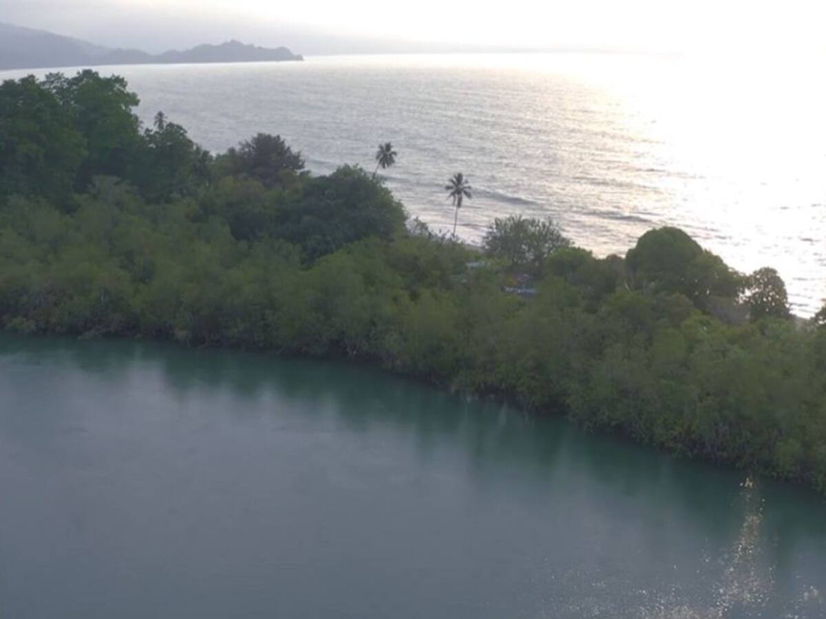 "Canto Al Rio" creando conciencia sobre el valor de los rios