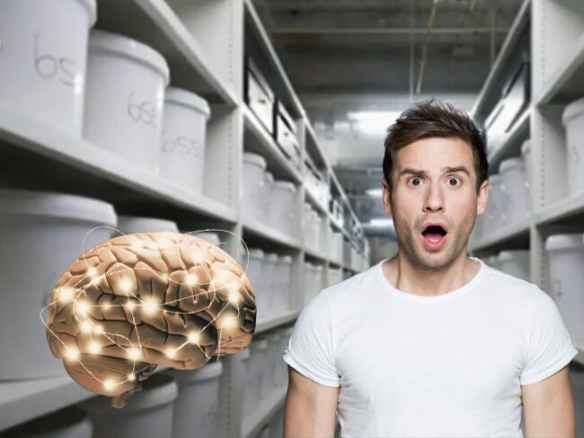Este es el país que tiene 10 mil cerebros humanos almacenados: razones detrás de esta colección