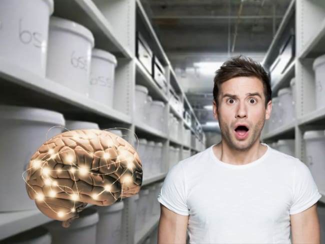 Este es el país que tiene 10 mil cerebros humanos almacenados: razones detrás de esta colección