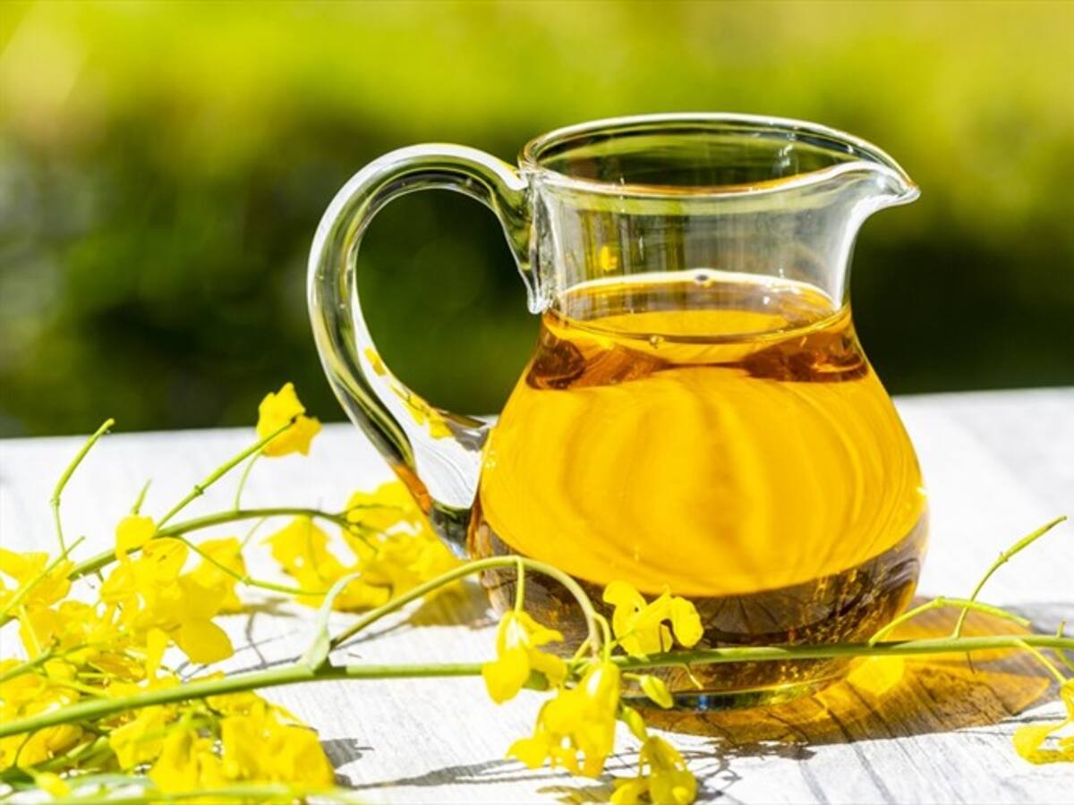 Víctimas del síndrome tóxico del aceite de colza de España denuncian abandono