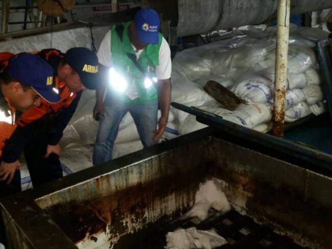 Nueva alerta por atún contaminado con mercurio en el país