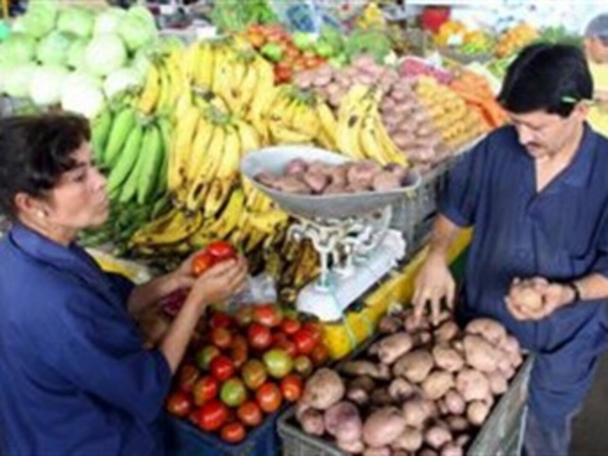 Reduce el ingreso de alimentos a la Central Mayorista de Antioquia