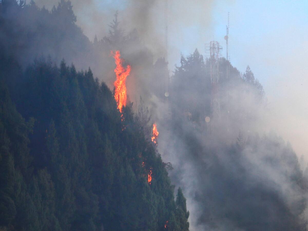 Tenemos los recursos para enfrentar la emergencia: MinInterior sobre incendios