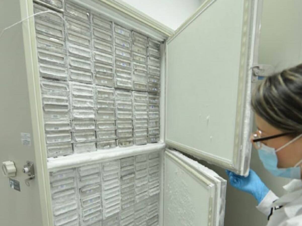En cuatro centros médicos del Área Metropolitana iniciará vacunación