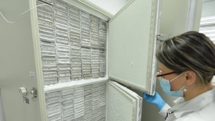 En cuatro centros médicos del Área Metropolitana iniciará vacunación