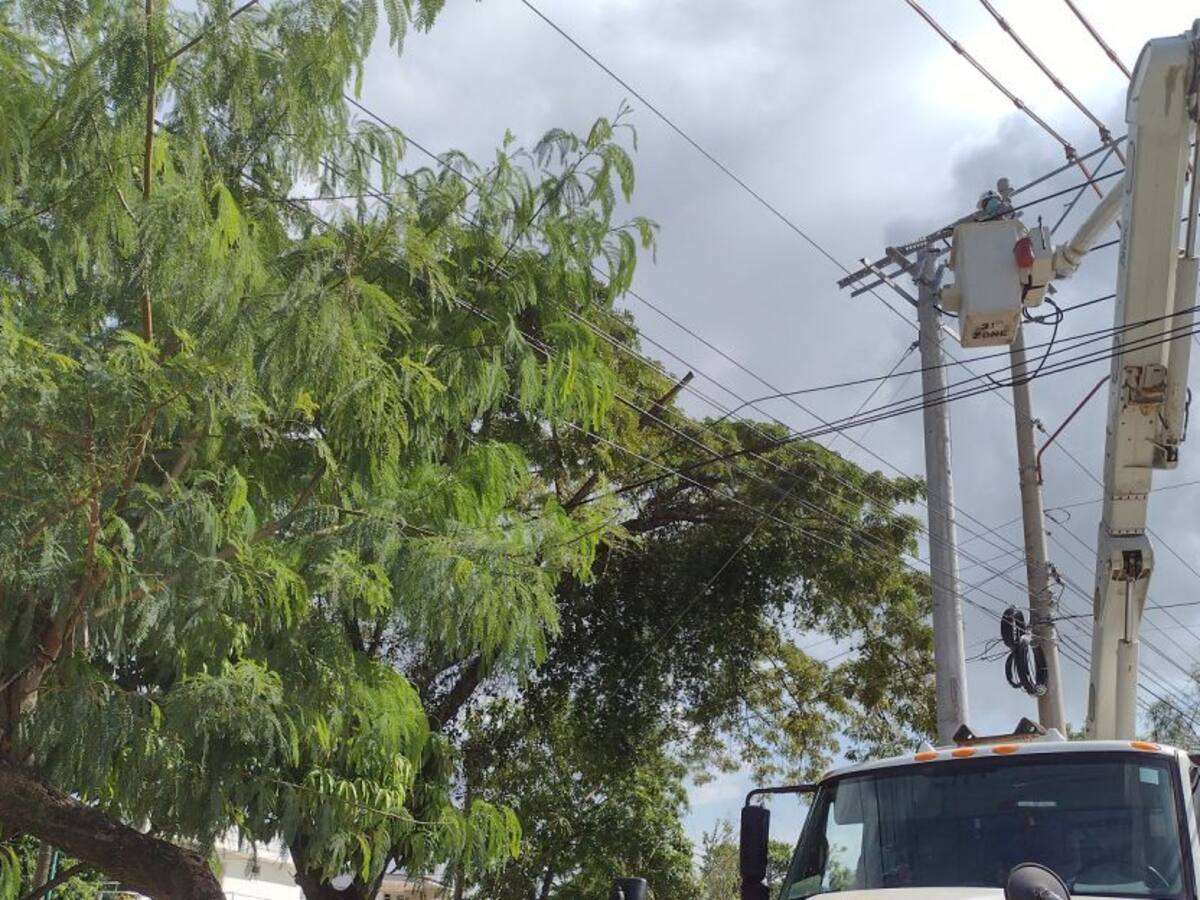 Afinia realizará trabajos en circuitos de Cartagena y norte de Bolívar