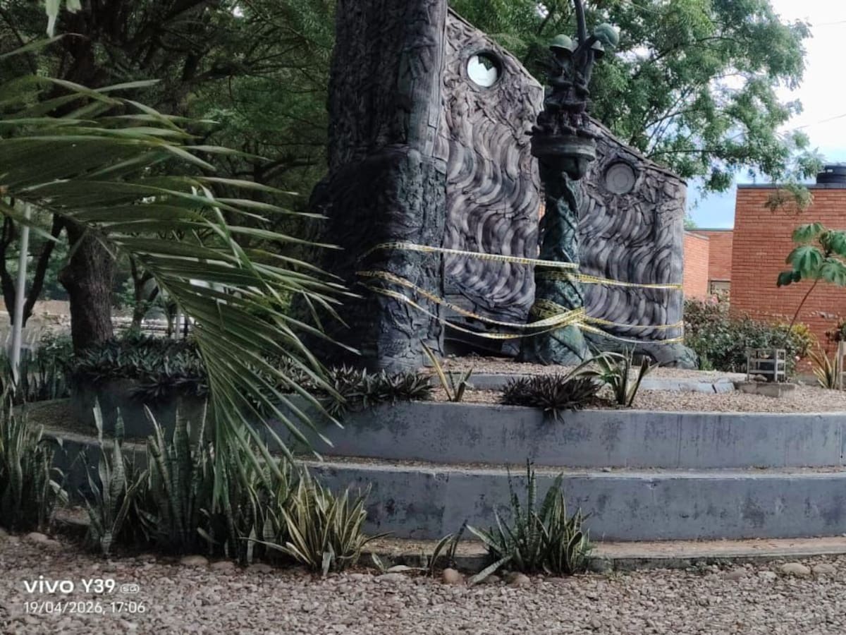 Emergencia por ataque de abejas en Cúcuta y Villa del Rosario