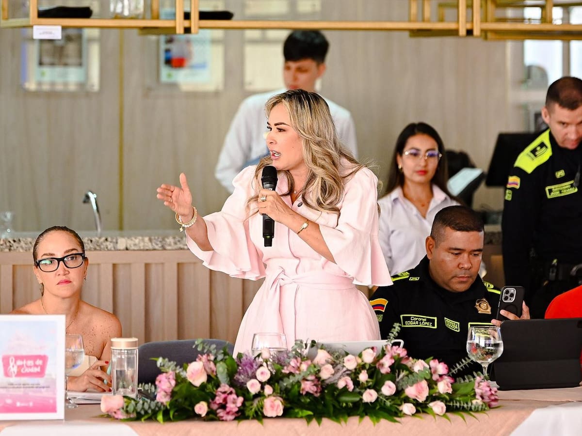 “Seremos muy rigurosos”: alcaldesa de Ibagué sobre colegios piratas