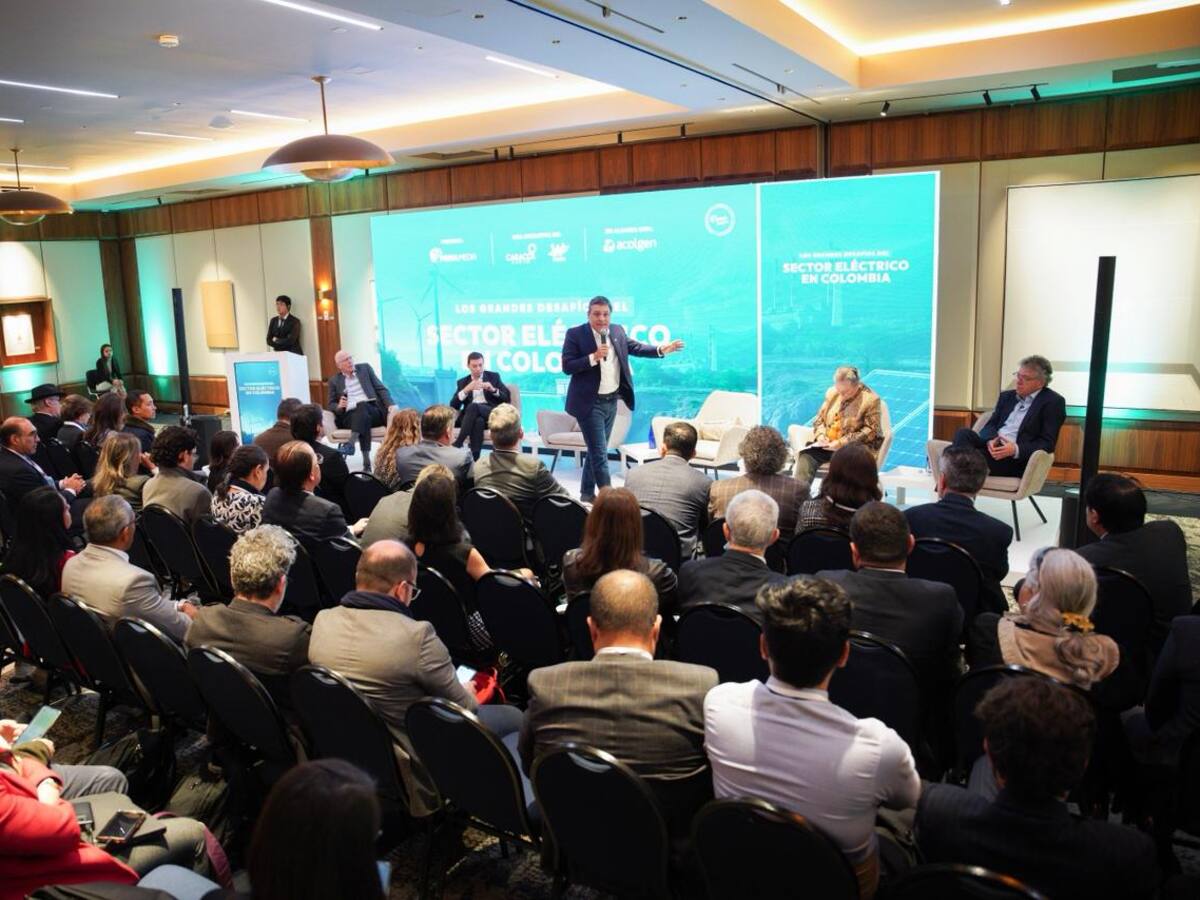 Regulaciones, recursos y consulta previa: los desafíos de la electricidad en Colombia