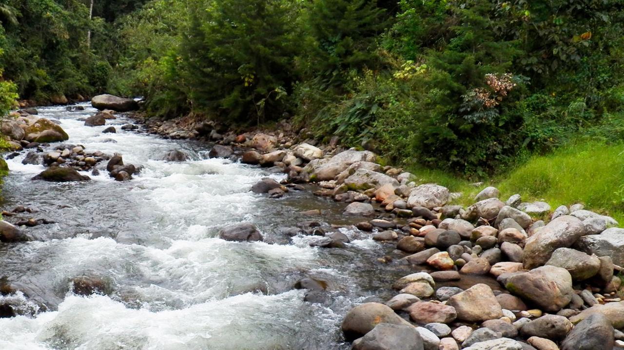 Foto: Alcaldía de Pereira.