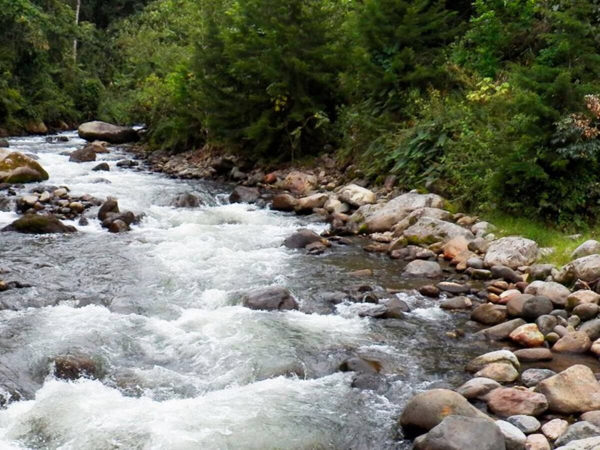 Conozca el plan de acción para fortalecer el cuidado del Río Otún durante Semana Santa