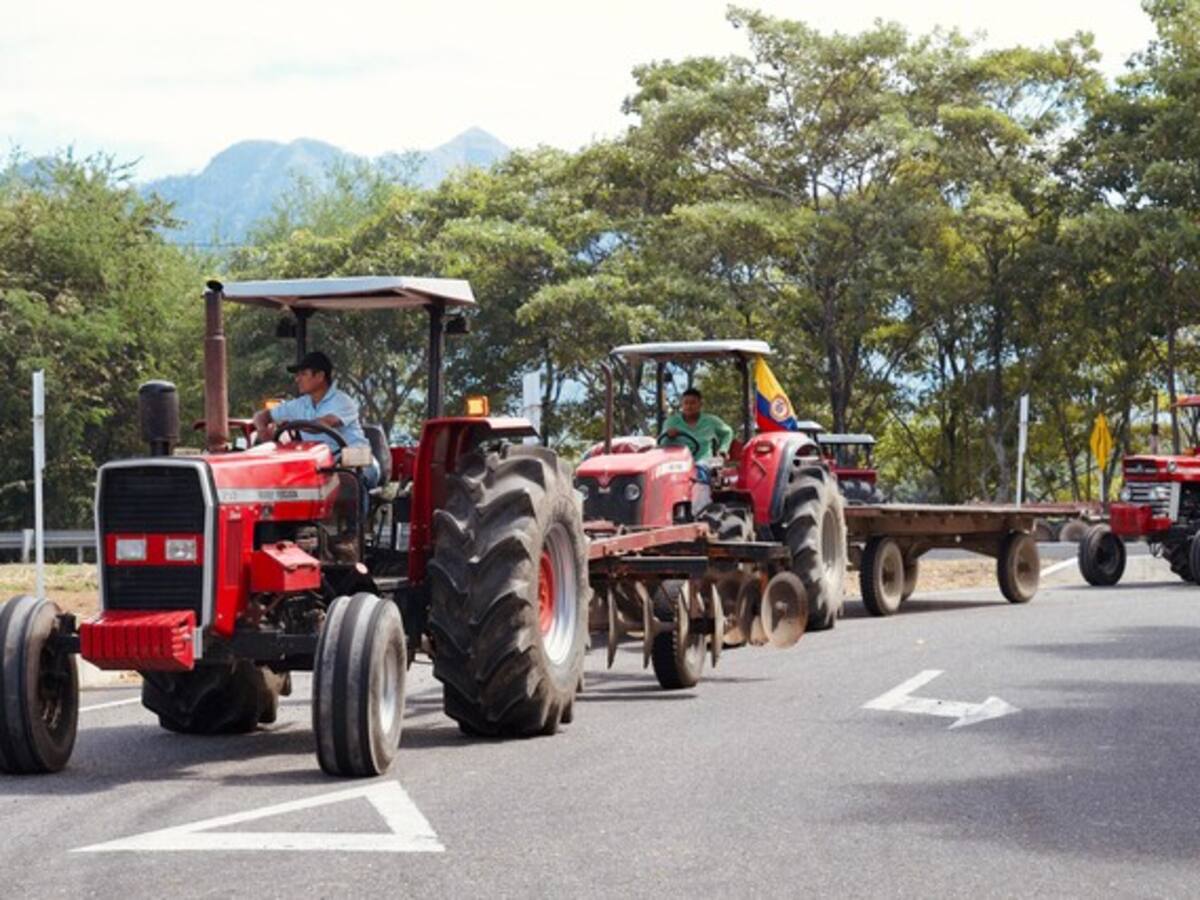 La inseguridad se ha encrudecido y aumentaron las extorsiones: Arrocero del Tolima