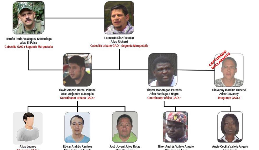 Este sería el organigrama delictivo de las disidencias urbanas que filtraron las protestas en Cali, y el suroccidente del País