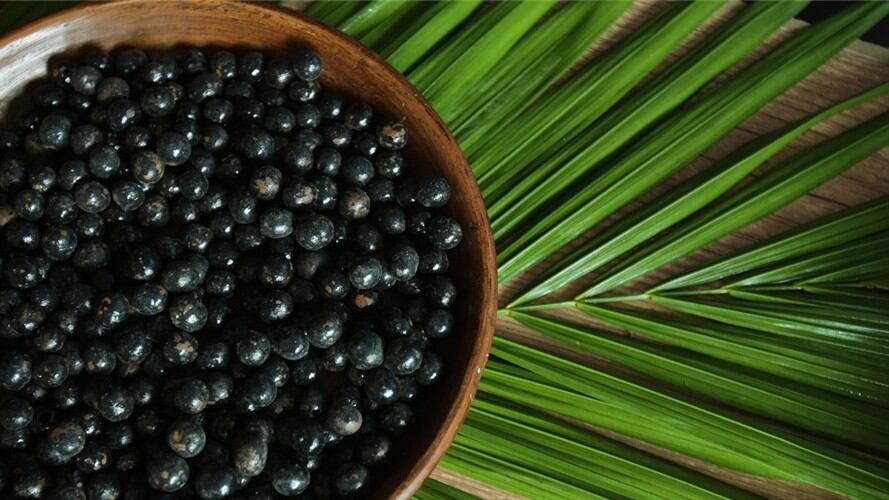 En el Putumayo sustituyen cultivos de coca por frutos amazónicos como el asaí. Foto: Getty Images