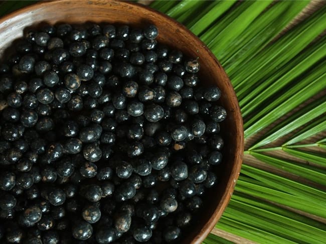 En el Putumayo sustituyen cultivos de coca por frutos amazónicos como el asaí. Foto: Getty Images