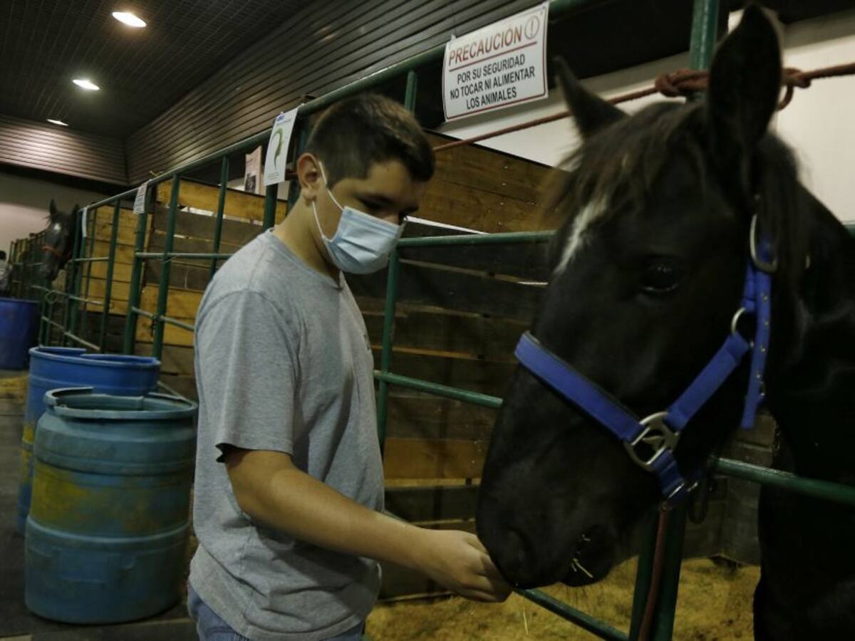 Coronavirus en Cartagena: 68 nuevos casos y no hubo muertos