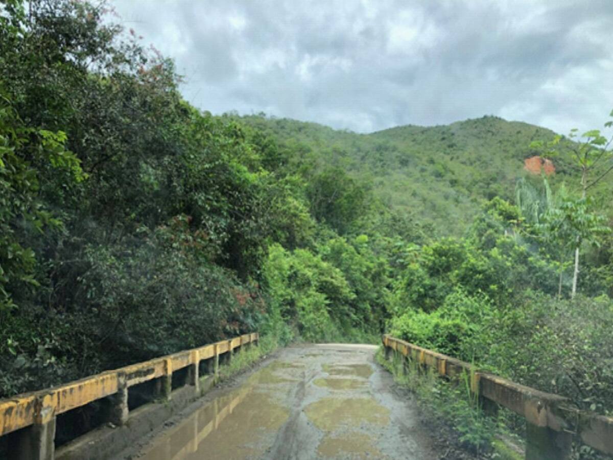 Transportadores del sur del Tolima denuncian que los están extorsionando