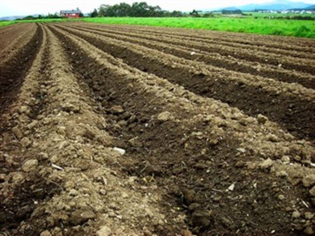 Lo fundamental de lo acordado con las Farc en el tema agrario