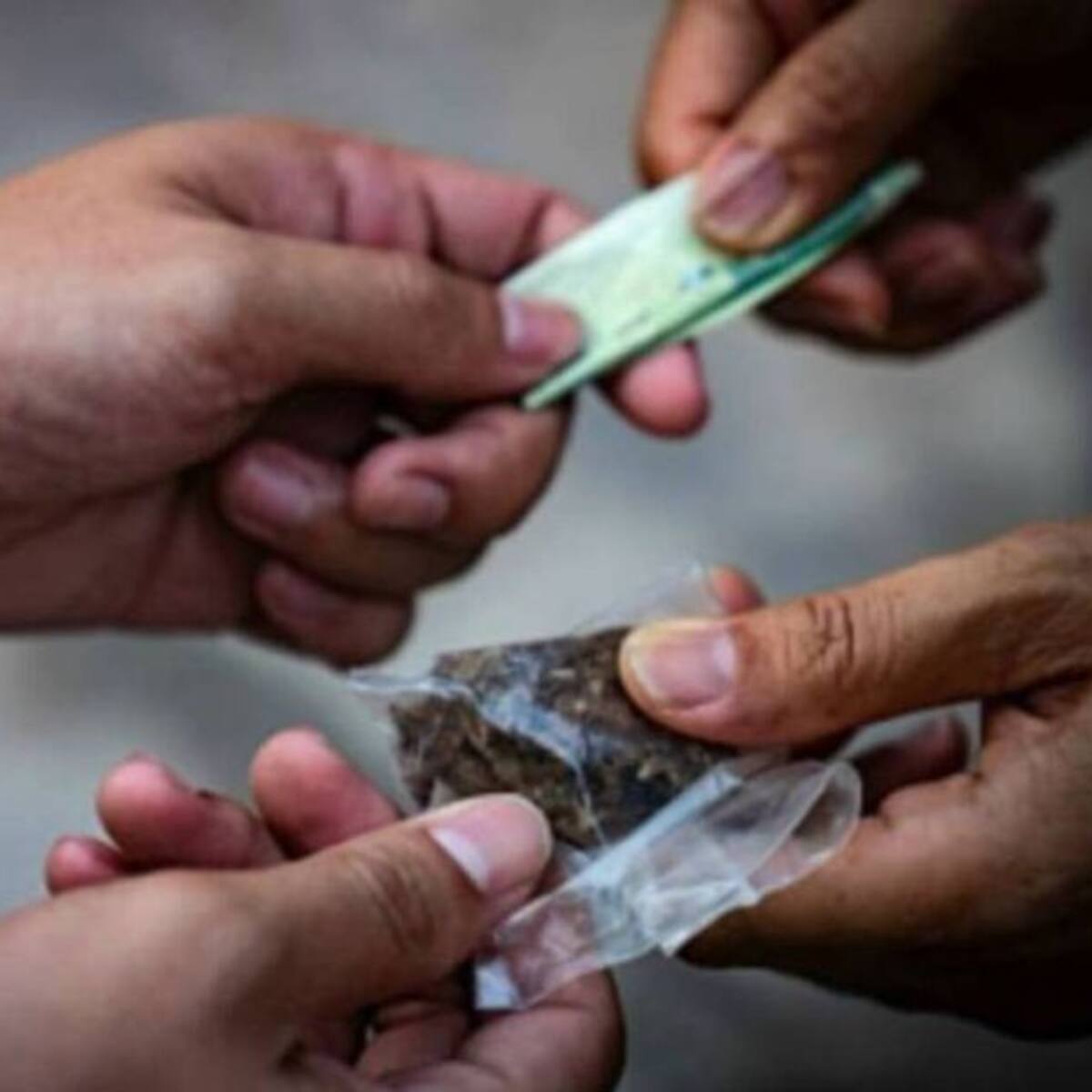 Pereira fue elegida pionera para un proyecto de prevención de drogas