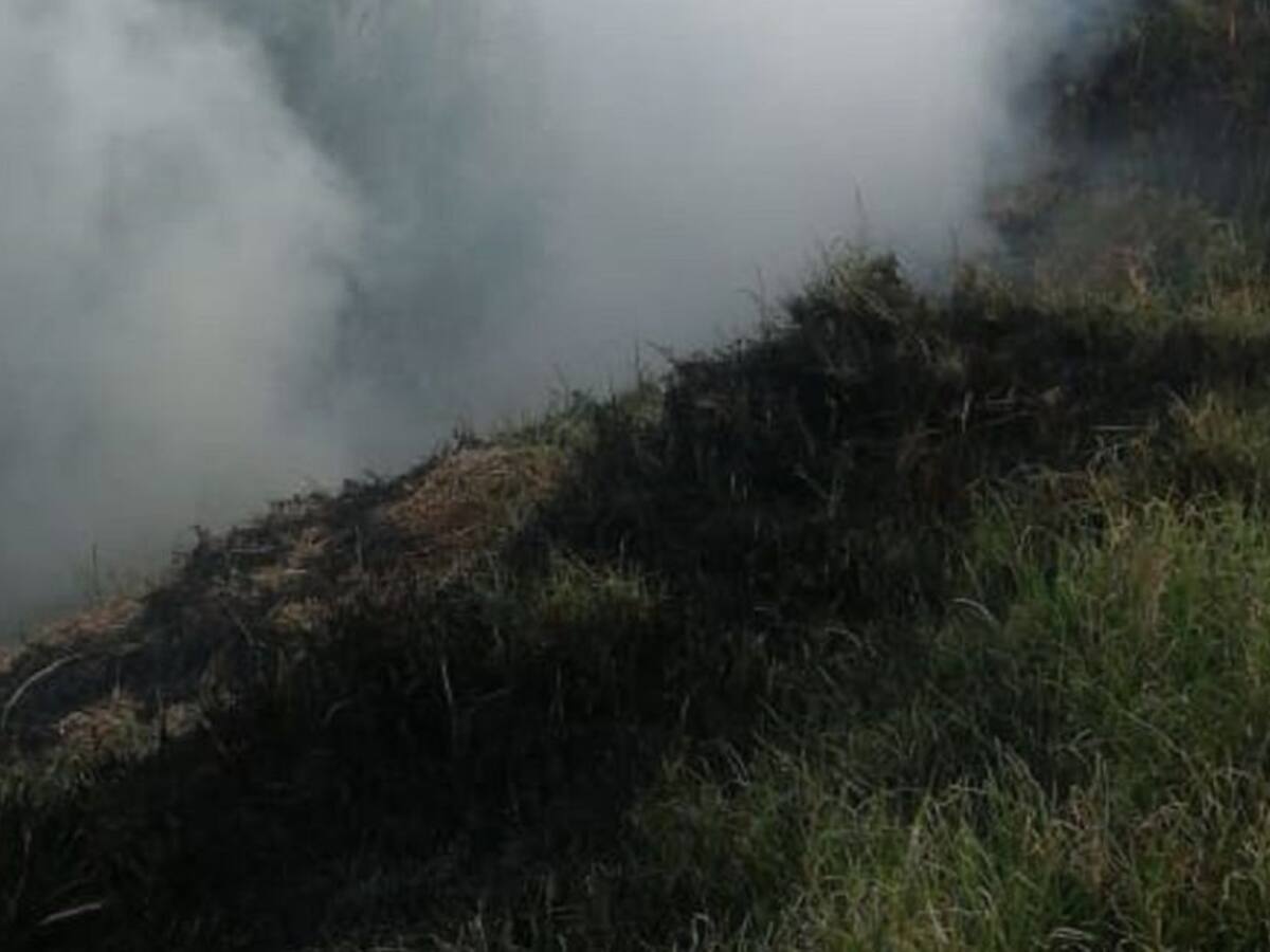 Se incendia humedal Meandro del Say en el occidente de Bogotá