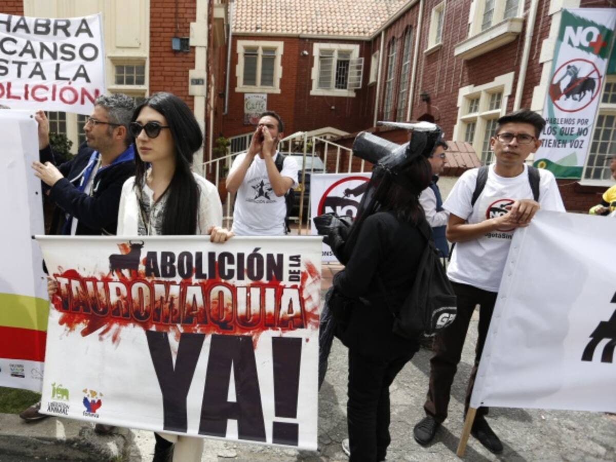 Candidatos opinan sobre fallo que suspende la consulta taurina