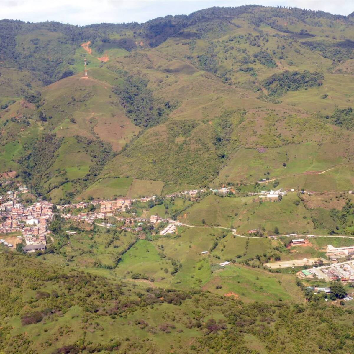 Las AGC y disidencias estan incentivando la siembra de cultivos ilícitos en Briceño