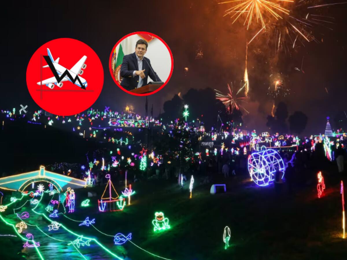 ‘’La temporada de fin de año es un respiro insuficiente’' afirmó Cotelco