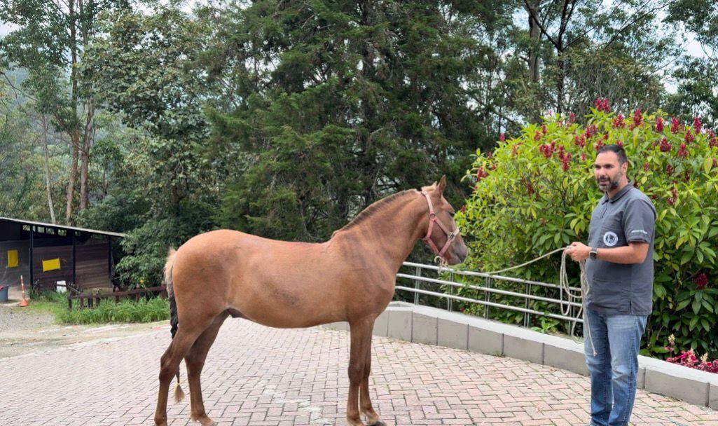 Cortesía: Alcaldía de Rionegro