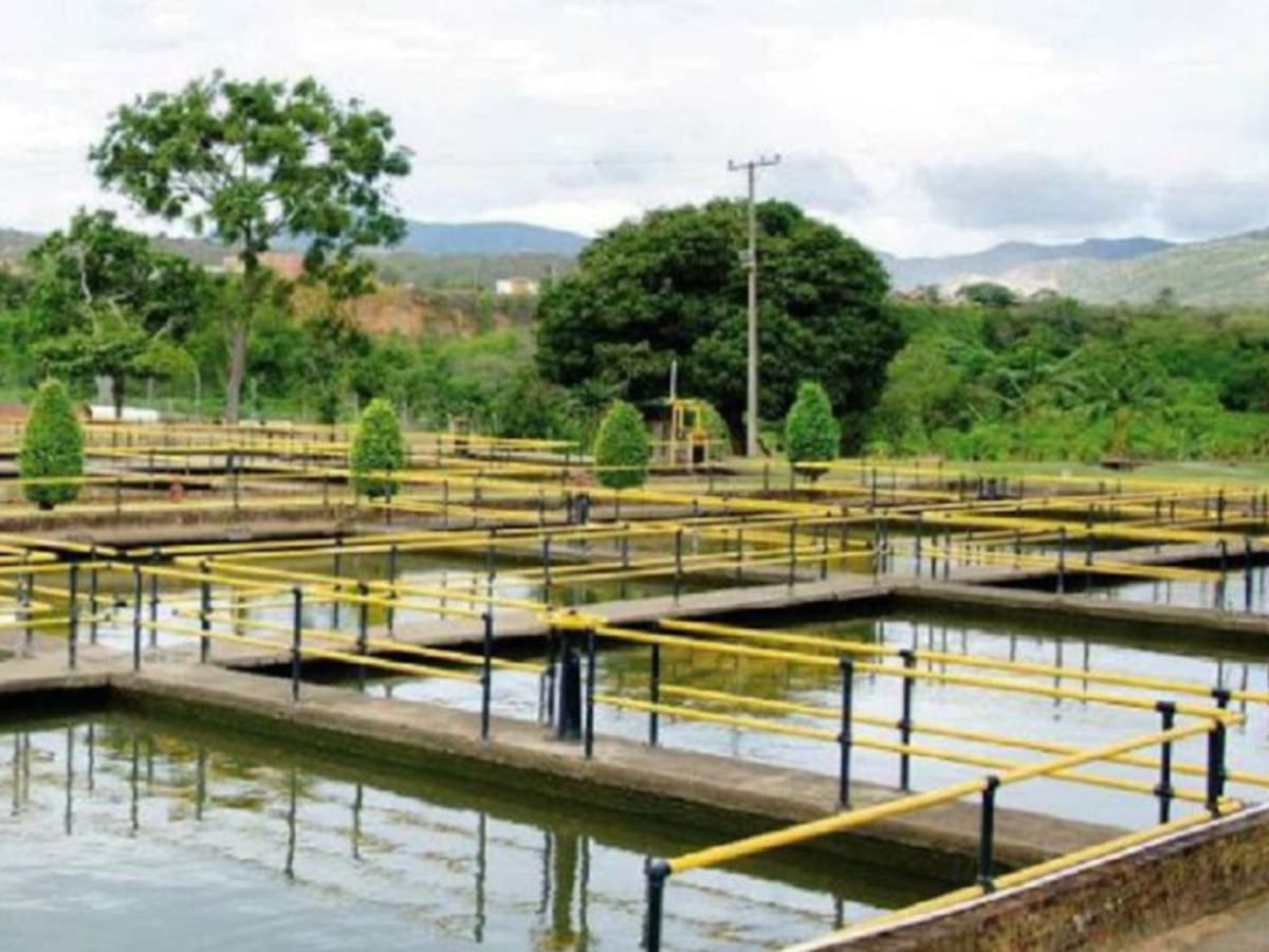 Alerta de lluvias genera medidas en el sistema de acueducto