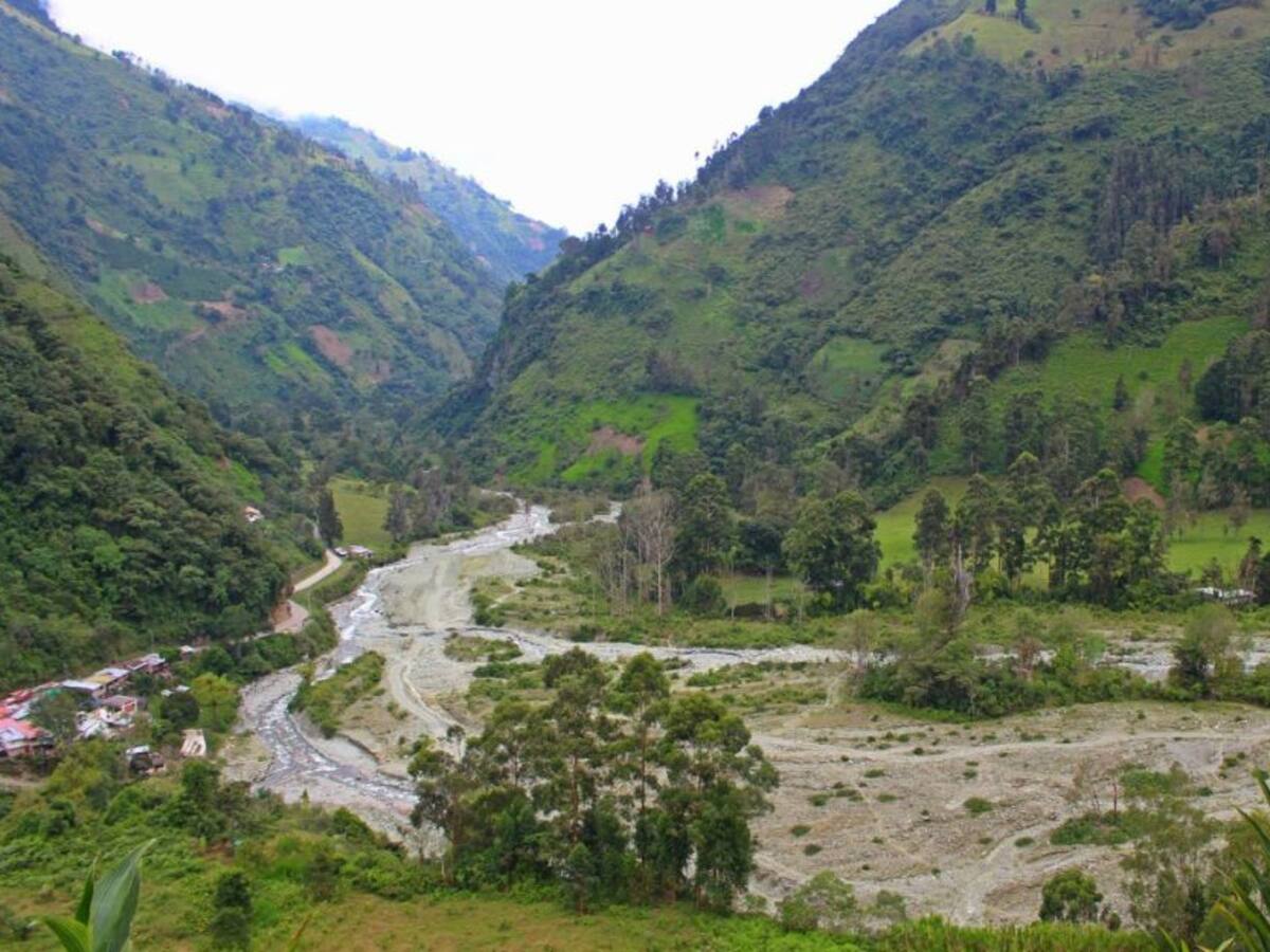 Un café por la paz, proyecto productivo en el sur del Tolima