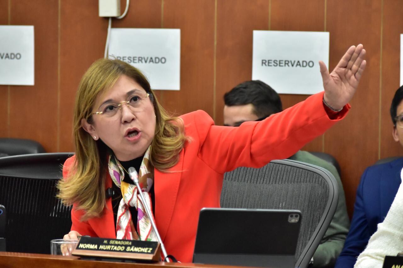 Quedó demostrado que Colombia tiene un sistema robusto para todo el proceso  electoral: Norma Hurtado | Política | Caracol Radio