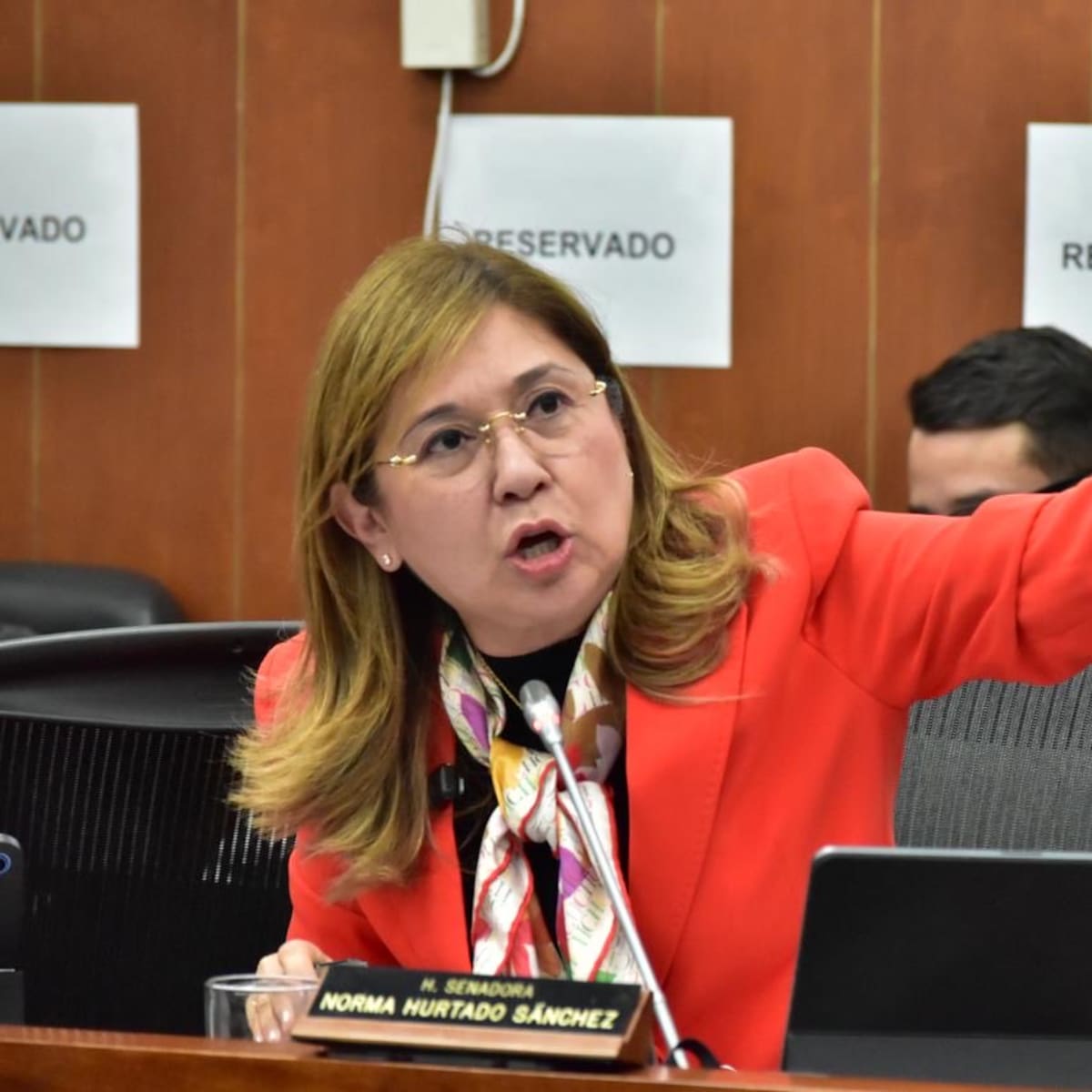 Quedó demostrado que Colombia tiene un sistema robusto para todo el proceso electoral: Norma Hurtado