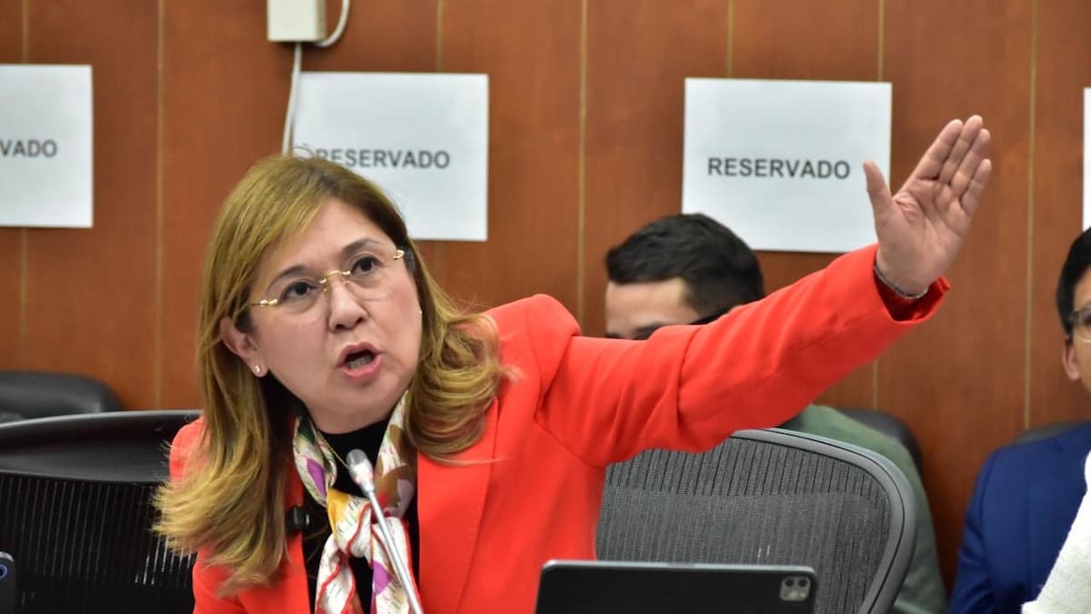 Quedó demostrado que Colombia tiene un sistema robusto para todo el proceso electoral: Norma Hurtado