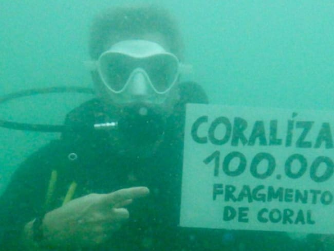 La iniciativa es liderada mediante Coralízate, una actividad de restauración coralina del Ministerio de Ambiente y Desarrollo Sostenible