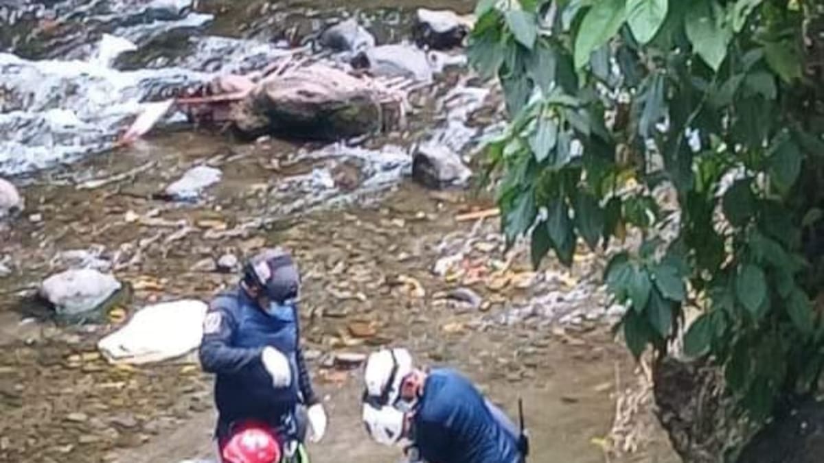 Informe de la Policía sobre homicidios en Quindío