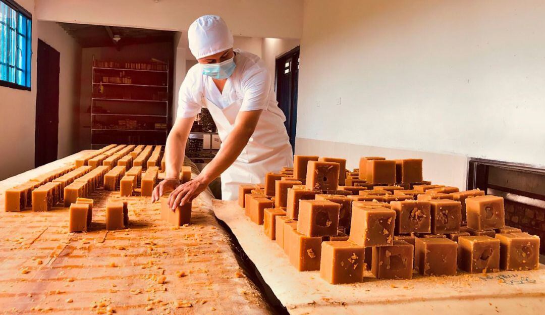 Las inversiones se direccionaron a reglones productivos como el de cacao, caña panela, ganadería, y arroz.