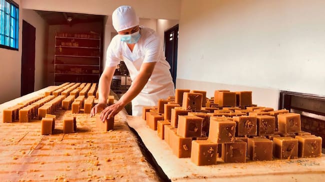 Las inversiones se direccionaron a reglones productivos como el de cacao, caña panela, ganadería, y arroz.