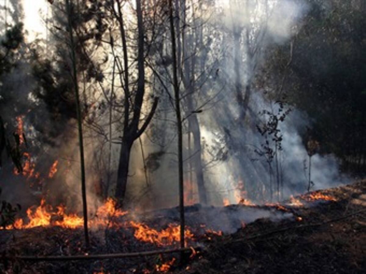 Ideam alerta por probabilidad de más incendios forestales