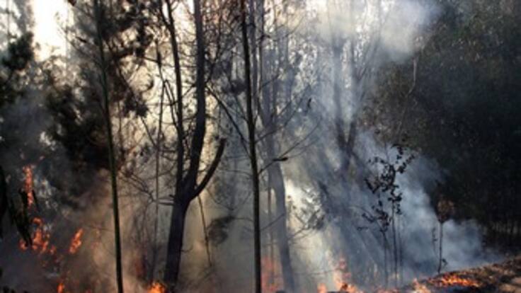 Ideam alerta por probabilidad de más incendios forestales