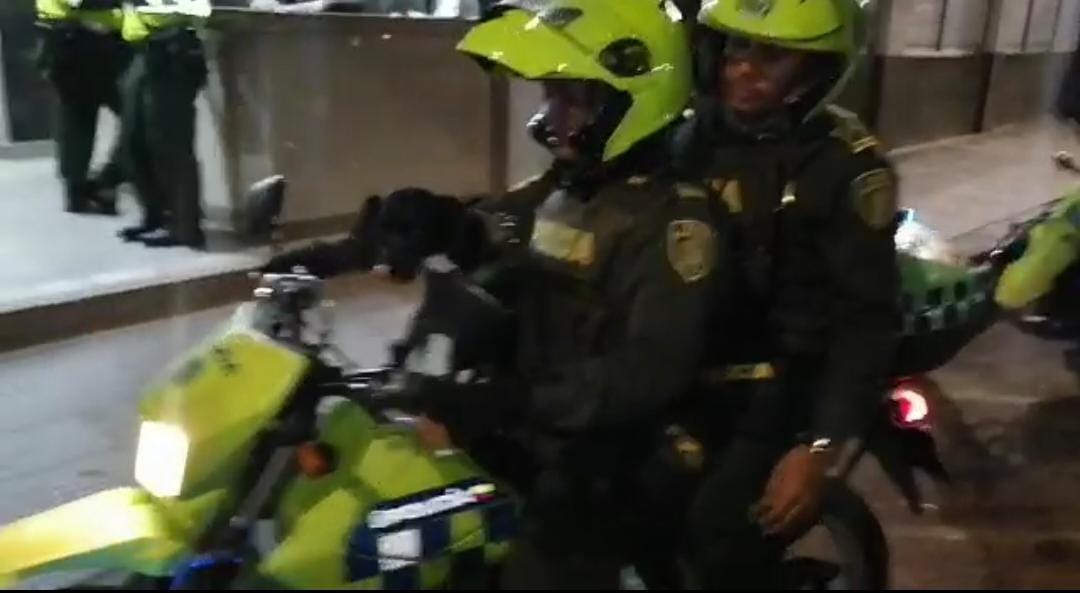 La Policía del Tolima rescata a canino en medio de una fuerte tormenta en Melgar.