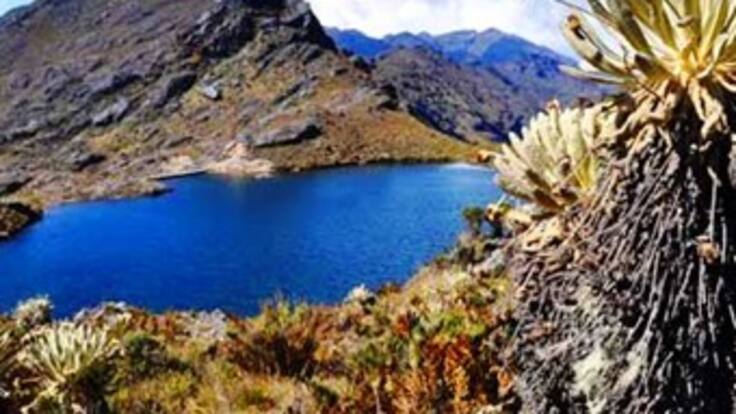 Corporación Autónoma niega que se hayan autorizado proyectos de explotación de oro en Santurbán