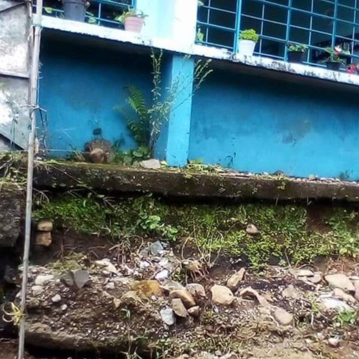 63 Niños afectados por paro en escuela de Fredonia