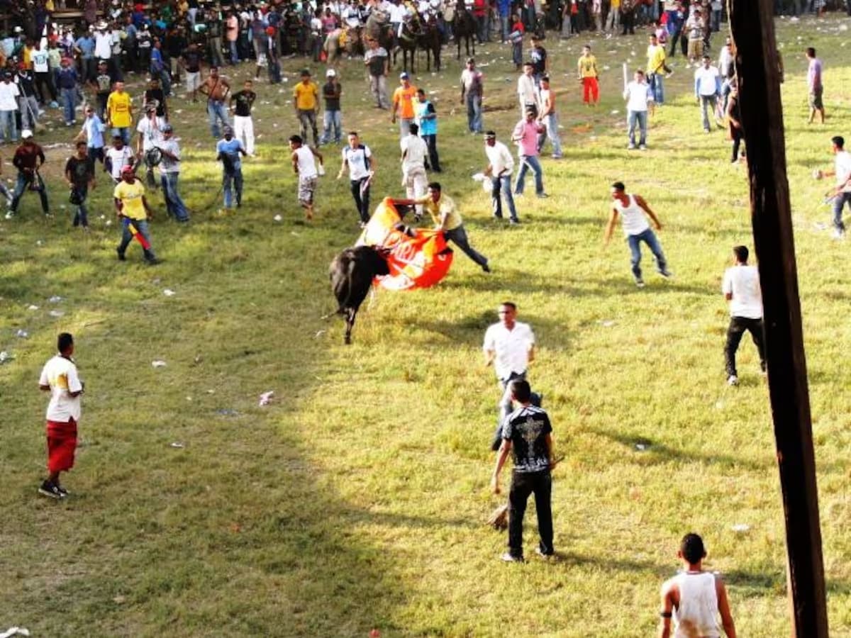 Murió banderillero tras ser corneado por un toro en corralejas de Malagana