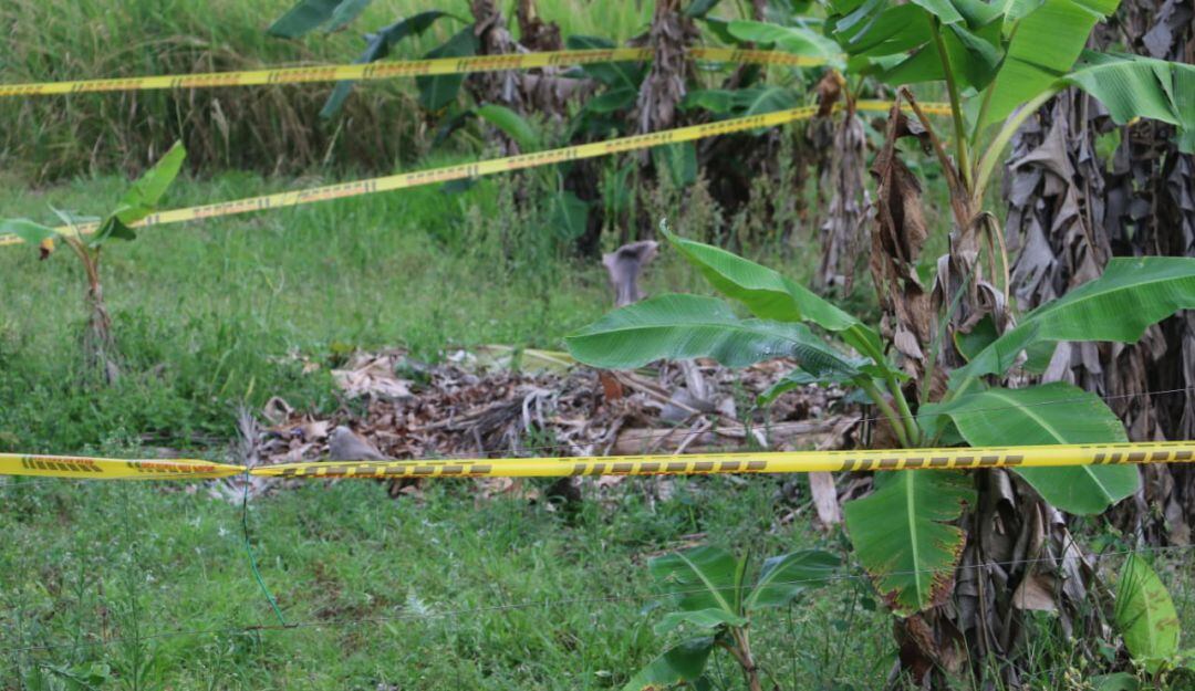 Imagen de referencia